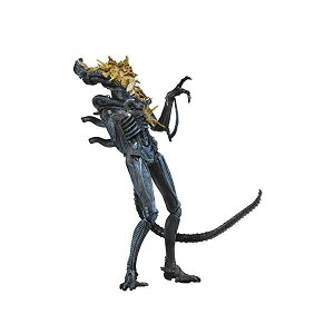 �G�C���A�� �A�N�V���� �t�B�M���A �l�` �l�J NECA - Aliens 7 scale action figure - Series 12 Xenomorph Warrior Blue (Battle Damaged)