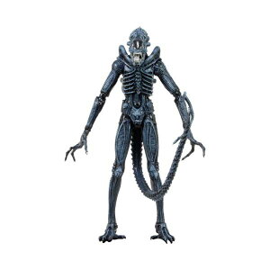 GCA ANV tBMA l` lJ NECA Series 2 Alien Warrior 7" Action Figure, Blue