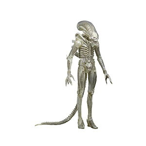 �G�C���A�� �A�N�V���� �t�B�M���A �l�` �l�J NECA Alien 1/4 Scale Translucent Prototype Suit Concept Action Figure