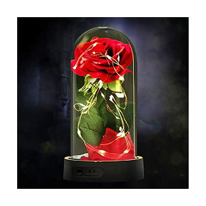 Xm[h[ fBYj[ Ɩb x }WJ[Y NX}X v[g T^N[X c[ Beauty and The Beast Rose, Enchanted Red Silk Rose Lamp with 2 Mode LED Fairy String Lights, Best Gifts for Her 