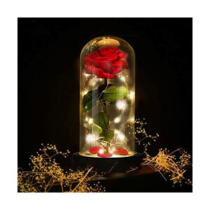 Xm[h[ fBYj[ Ɩb x }WJ[Y NX}X v[g T^N[X c[ Deluxsa Enchanted Red Silk Rose,Beauty and the Beast Rose with Fallen Petals in A Light Dome,Home/Office or Home