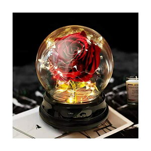 Xm[h[ fBYj[ Ɩb x }WJ[Y NX}X v[g T^N[X c[ Deluxsa Enchanted Red Silk Rose,Beauty and The Beast Rose with Fallen Petals in A Light Dome,Home/Office or Home