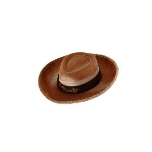 gCXg[[4 EbfB JE{[Cnbg Xq RXv  ObY Elope Toy Story Woody Cowboy Hat