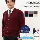 カシミヤ カーディガン カシミヤ100％試験鑑定済 カシミヤ100% 紳士 V首カーディガン M-LL 28413カシミア カシミヤニット 紳士カーディガン