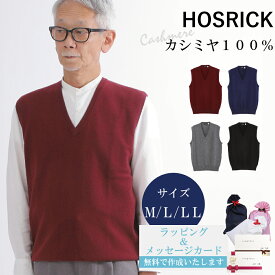 カシミヤ ベスト カシミヤ100％試験鑑定済 カシミヤ100% 紳士 紳士V首ベスト M-LL 28407 カシミア カシミヤニット 紳士ベスト
