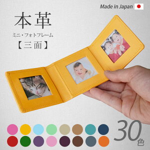 y OʁE~j z {v tHgt[ y@AXJ[z \ 3 O܂ ʐ^ tHgX^h z  g ^ s ʐ^  ʐ^P[X u}Ch 