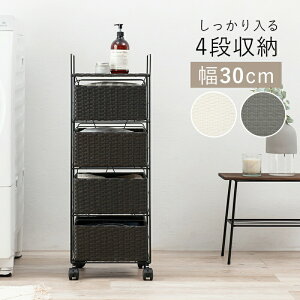 h[ RAN-2434 30cm h[[ h[bN ߗގ[ Tj^[`FXg Tj^[[ `FXg bN I [I [P[X [ ߏ ʏ rO 