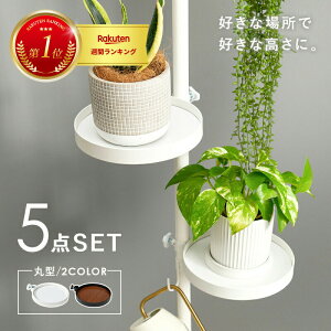 ˂_p[c@5_Zbg(ی^j@KTR-3113 ()43×s43×187`264cm