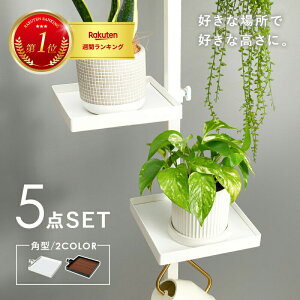 ˂_p[c@5_Zbg(p^j@KTR-3114 ()43×s43×200`265cm