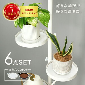 ˂_p[c@6_Zbgiی^j@KTR-3116 ()43×s43×187`264cm