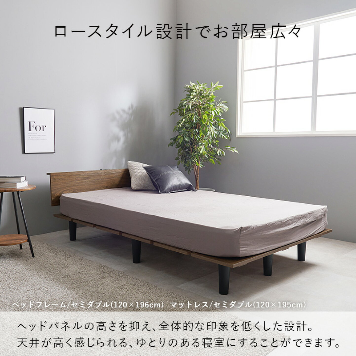 楽天市場 | レザーケアのインテリア・トゥデイ - シンプルなのに、洗練 