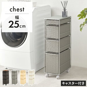 _12/1()̓|CgAbv!^ h[`FXg RAN-2464 25cm o4t LX^[t