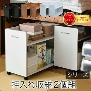 押入れ 収納 ラック 本棚 2個セット 幅38.5 奥行78 .5 キャスター付き 隙間 ワイド ワゴン 大容量 おもちゃ DVD 本 漫画 整理 押し入れ収納 スライド 収納庫