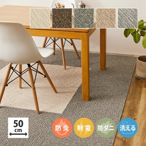 _12/1()̓|CgAbv!^ 􂦂 ^CJ[ybg XNGA2100 TCU[v 50×50cm h d h_j u t@ubNtA 