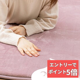 【エントリーでP5倍】 はっ水加工付き 低反発ラグ メレンゲタッチ 手洗いOK 撥水 ふっくら フランネル 滑り止め付き ホットカーペットカバー 萩原