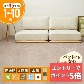 【エントリーでP5倍】 敷き詰めカーペット ラウム 【1畳・2畳・3畳・4畳・4.5畳・6畳・8畳・10畳】【江戸間・本間・団地間】 ラグ ラグマット フリーカット カットOK ペット 犬 猫 平織 シンプル 萩原