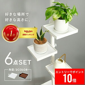 _Gg[P10{!&ő6%OFF^ ˂_p[c@6_Zbgip^j@KTR-3117 ()43×s43×200`265cm