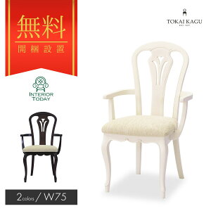 yJݒuT[rXtz_CjO`FA A[`FA 56cm t[ DM WH H fXN`FA[ }zKj[ t`GKX Lr GKg RR FLEUR-WH FLEUR-DM CƋ