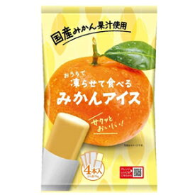 （送料コミ価格）凍らせて食べるみかんアイス（70g×4）12袋入　谷尾食糧工業