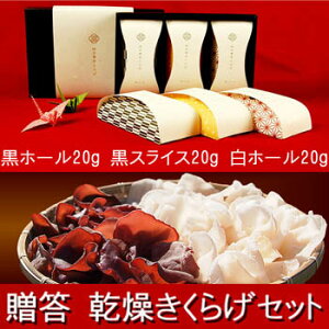  炰Zbg z[20g XCX20g z[20g