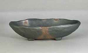 OĂ@ȉ~yLOizyjzyzyav[gz@R[q240119