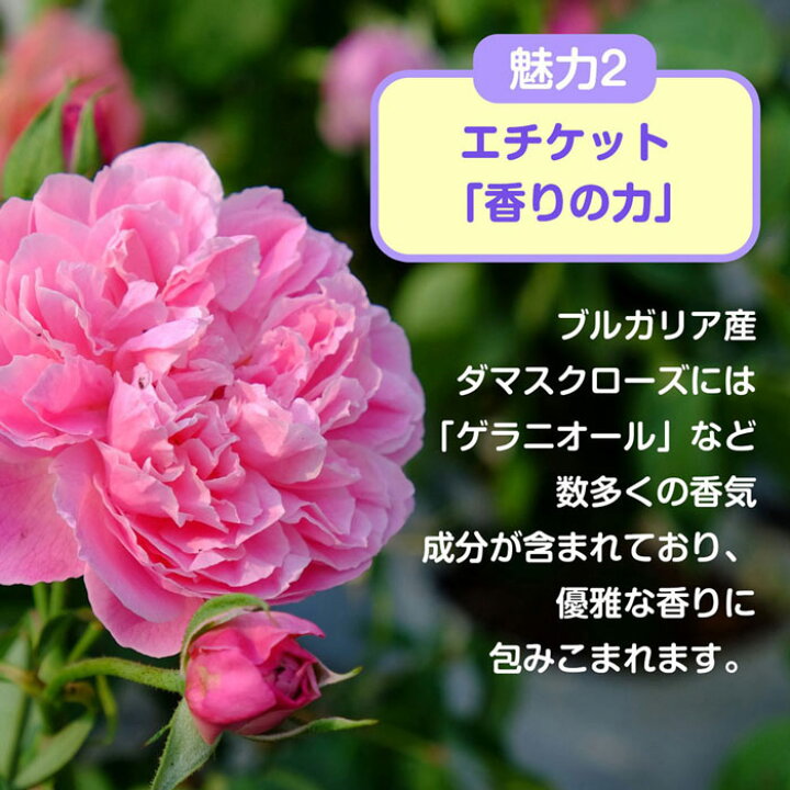 楽天市場】口臭予防 デオドラントローズサプリ 60粒×2袋セット 120粒 ブレスケア 口臭対策 バラの香り 口臭サプリメント 口臭サプリ ローズオイル フレグランス ブルガリアンローズ 体臭 口臭 飲む香水 エチケット 生カプセル サプリメント ローズサプリ 国産 : アイテム ... 楽天市場】口臭予防 デオドラントローズサプリ 60粒×2袋セット 120粒 ブレスケア 口臭対策 バラの香り 口臭サプリメント 口臭サプリ ローズオイル フレグランス ブルガリアンローズ 体臭 口臭 飲む香水 エチケット 生カプセル サプリメント ローズサプリ 国産 : アイテム ...