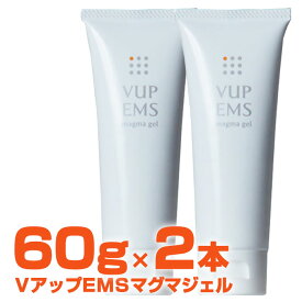 Vアップ EMSマグマジェル 60g 2本セット ヒロミプロデュース ボディケア 超音波ジェル エステ VアップシェイパーEMSマグマジェル 水溶性 ユニセックス メンズ レディース 腹筋 背中 女性 vアップシェイパージェル ゲル 美顔器 ボディ用 ヤーマン