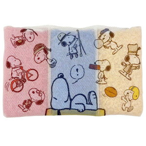 Xk[s[ 􂦂܂ CG[ 50×32cm   EH94009960 PN4602CT @   Q LN^[ SNOOPY 68848