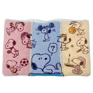 Xk[s[ 􂦂܂ u[ 50×32cm   EH94009960 PN4602CT @   Q LN^[ SNOOPY 68848