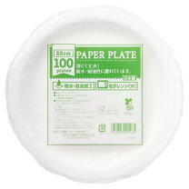 在庫処分！！】紙皿2100枚+α