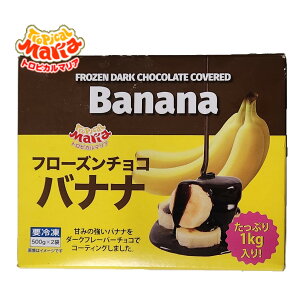 iⓀ t[Y`Roii gsJ}A 500g×2܁jXC[c fU[g  `Roii ACX q `R[g oii t[c RXgR 54524