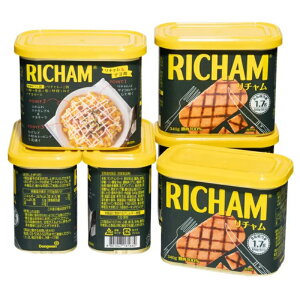 i ` 340g×6 Dongwon Richamjނ `v wV[  ؓ100 n Hi  ܂ ʋl 31629