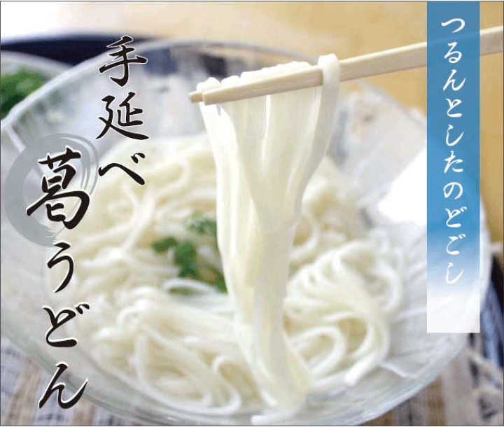 手延べ葛うどん [10本入] | 吉野本葛 天極堂 オンラインショップ