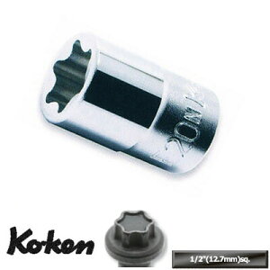 Ko-ken 4425E20N tCzC{gp \Pbg (Y (E20N)p  gNXibgp \Pbg) R[P/RH