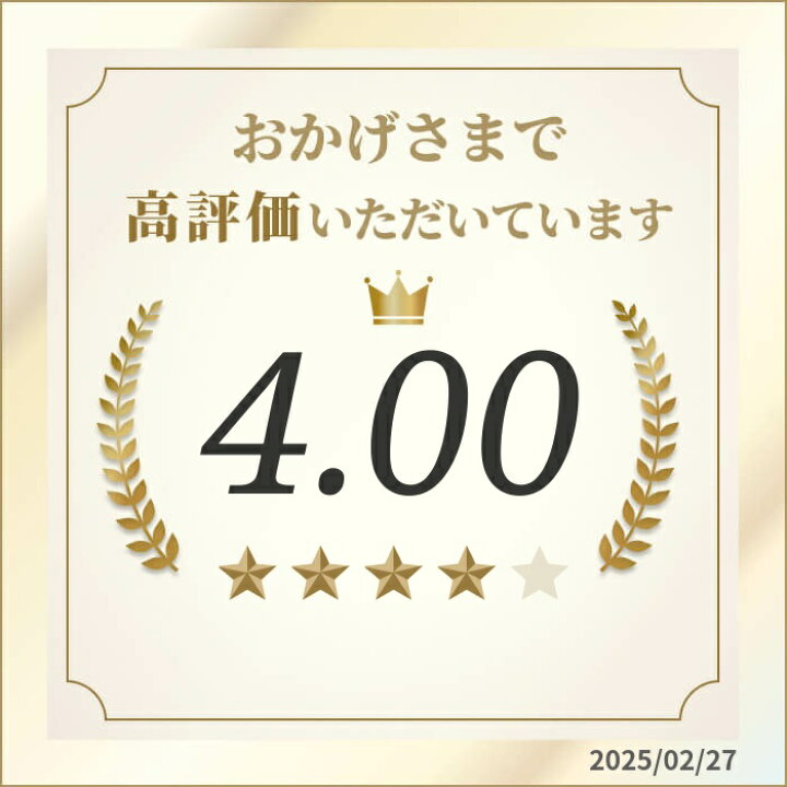 楽天市場】【LINE追加で最大2000円OFF】 FF式ストーブ トヨトミ FR 