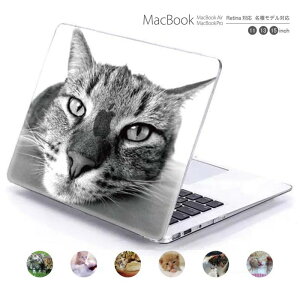 macbook pro 13 �P�[�X macbook �P�[�X macbookpro �V�F���P�[�X macbook air �P�[�X �p�\�R���P�[�X PC�ی�P�[�X �A�j�}�� �L cat �y�b�g �L���b�g macbook pro 15 �P�[�X