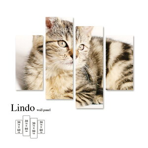 yX[p[Z[ z 50%OFF 12/3 20:00`12/11 01:59z A[gpl  Aj}  A R L 킢 Ǌ| k  fUC t@ubN Ǐ A[g{[h 4