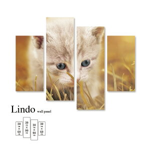 yX[p[Z[ z 50%OFF 12/3 20:00`12/11 01:59z t@ubNpl  Aj}  A R L 킢 Ǌ| k  fUC A[g Ǐ A[g{[h 4