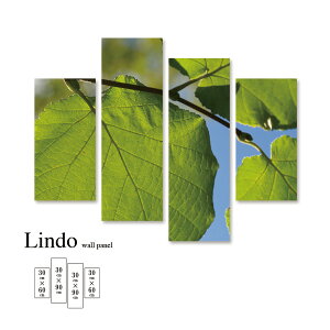 yX[p[Z[ z 50%OFF 12/3 20:00`12/11 01:59z t@ubNpl A [t R i`  O[  Ǌ| k  fUC A[g Ǐ A[g{[h 4