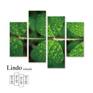 yX[p[Z[ z 50%OFF 12/3 20:00`12/11 01:59z A[gpl A [t R i`  I O[ Ǌ| k  fUC t@ubN Ǐ A[g{[h 4