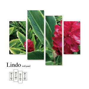 t@ubNpl  t[ K[f R A [t gsJ i` Ǌ| k  fUC A[g Ǐ A[g{[h 4pl