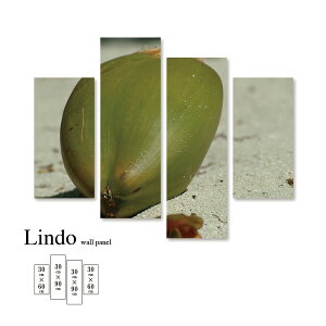 yX[p[Z[ z 50%OFF 12/3 20:00`12/11 01:59z t@ubNpl V V̎ nC r[` A R [t V̖ l Ǌ| k  fUC A[g Ǐ 