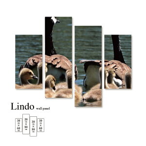 A[gpl  Aj}  A R K`E eq Ƒ 킢 Ǌ| k  fUC t@ubN Ǐ A[g{[h 4pl