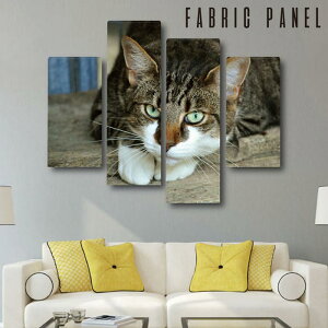 t@ubNpl L ˂ ybg Zbg 4 { i ȒP zn ؘg DIY pl A[g  fUC k Ǌ|   lC n ؐ i  IuWF X fBXv