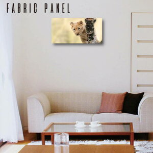 A[gpl A[g ` { i ȒP zn ؘg DIY t@ubN pl A[g  fUC k Ǌ|   lC n ؐ i  IuWF X fBXvC