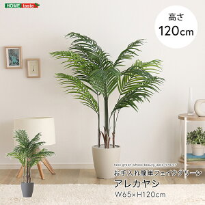 tFCNO[ lHϗtA ϗtA t AJV V MTCY 140cm  A O[ ȒP C A i` IV 傫 tFCN rO Q 