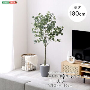 フェイクグリーン 人工観葉植物 観葉植物 鉢付 ユーカリ Lサイズ 180cm おしゃれ リアル グリーン お手入れ簡単 北欧 リアル ナチュラル オシャレ 送料無料 大きめ フェイク リビング 寝室 玄