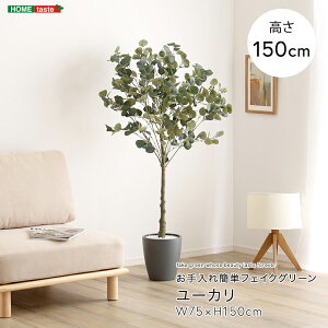 フェイクグリーン 人工観葉植物 観葉植物 鉢付 ユーカリ Mサイズ 150cm おしゃれ リアル グリーン お手入れ簡単 北欧 リアル ナチュラル オシャレ 送料無料 大きめ フェイク リビング 寝室 玄