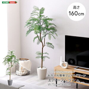 tFCNO[ lHϗtA ϗtA t Go[tbV MTCY 160cm  A O[ ȒP k A i` IV 傫 tFCN rO Q 