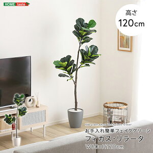 フェイクグリーン 人工観葉植物 観葉植物 鉢付 フィカス リラータ Mサイズ 150cm おしゃれ リアル グリーン お手入れ簡単 北欧 リアル ナチュラル オシャレ 大きめ フェイク リビング 寝室 玄